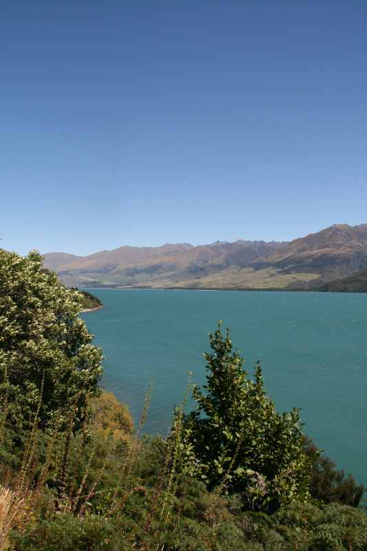 Nieuw-Zeeland 2011 - 1584